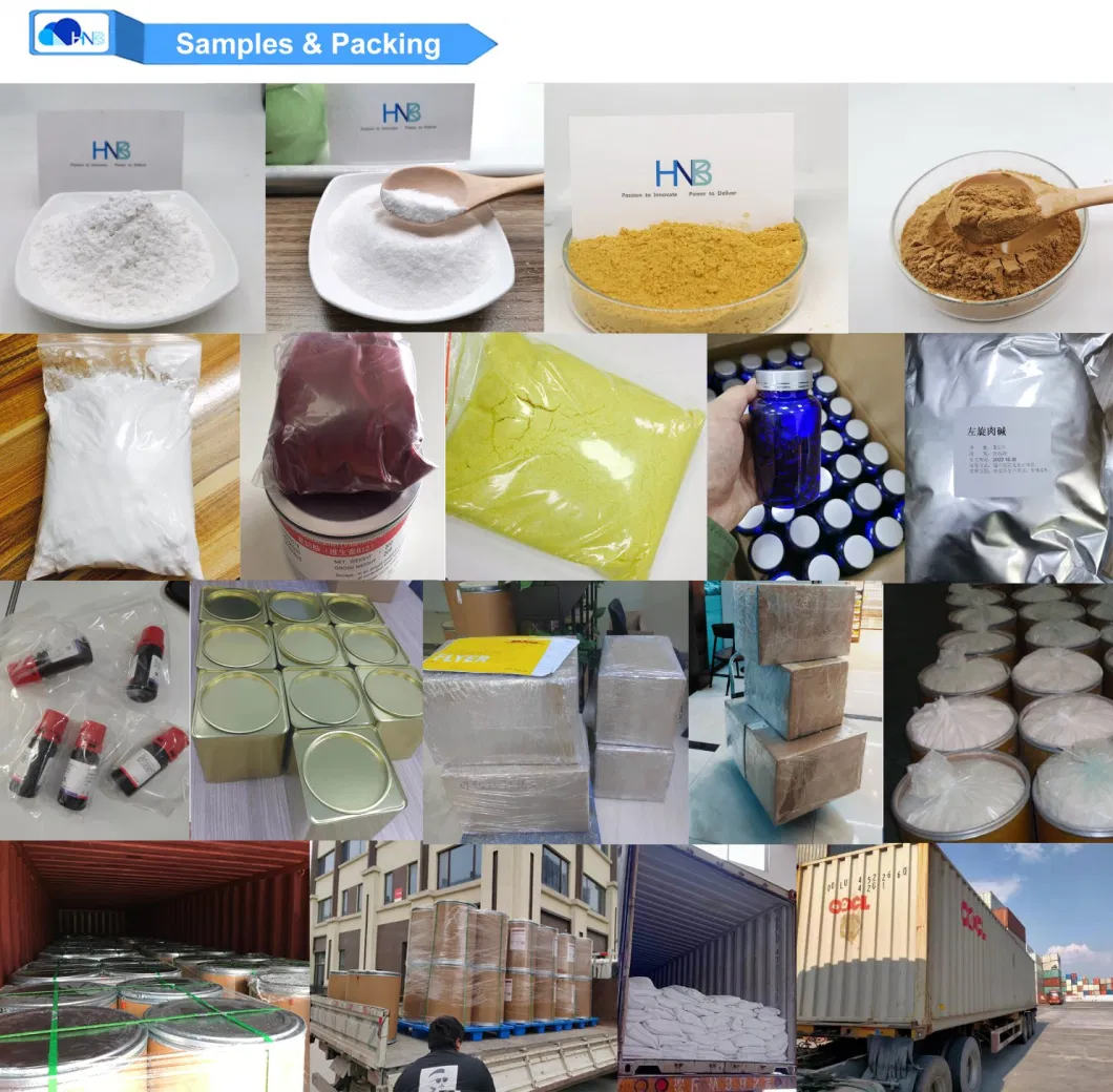 ISO Supply 9004-65-3 Stock Hypromellose Hydroxypropyl Methyl Cellulose Methylcellulose Powder 99% HPMC